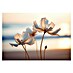 Cuadro Flores 