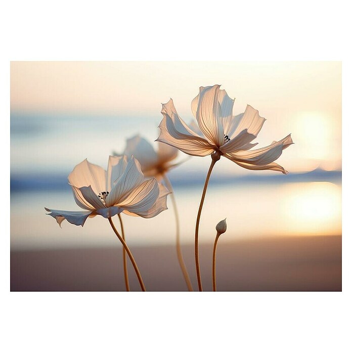 Cuadro Flores (Flores, An x Al: 100 x 70 cm, 1 pzs.) | BAUHAUS