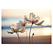Cuadro Flores (Flores, An x Al: 100 x 70 cm, 1 pzs.) | BAUHAUS