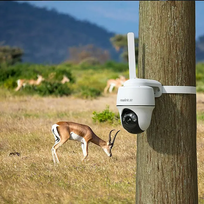 Reolink Akku-Überwachungskamera GO SERIES G440 - 3.840 x 2.160 Pixel, IP64, Außen, 6.000 mAh - Reolink Überwachungskamera erfasst Gazelle in freier Wildbahn. Schützt Ihr Eigentum und hält wilde Tiere im Auge.