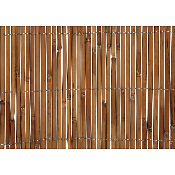 Gardol Schilfrohrmatte (3 x 1,5 m, Weide, Natur) | BAUHAUS