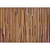 Gardol Schilfrohrmatte (3 x 1,5 m, Weide, Natur) | BAUHAUS