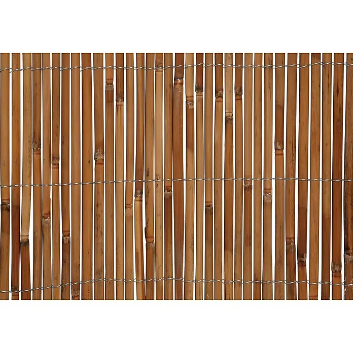 Gardol Schilfrohrmatte - 3 x 1,5 m, Weide, Natur - Dieses Bild zeigt eine Bambusmatte, die sich ideal als Sichtschutz für Gärten oder Terrassen eignet. Das natürliche Material sorgt für eine warme Atmosphäre.