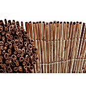 Gardol Schilfrohrmatte (3 x 1,5 m, Weide, Natur) | BAUHAUS