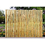 Gardol Sichtschutzmatte (3 x 1,8 m, Bambus, Natur) | BAUHAUS
