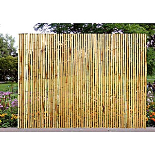 Gardol Sichtschutzmatte (3 x 0,9 m, Bambus, Natur)