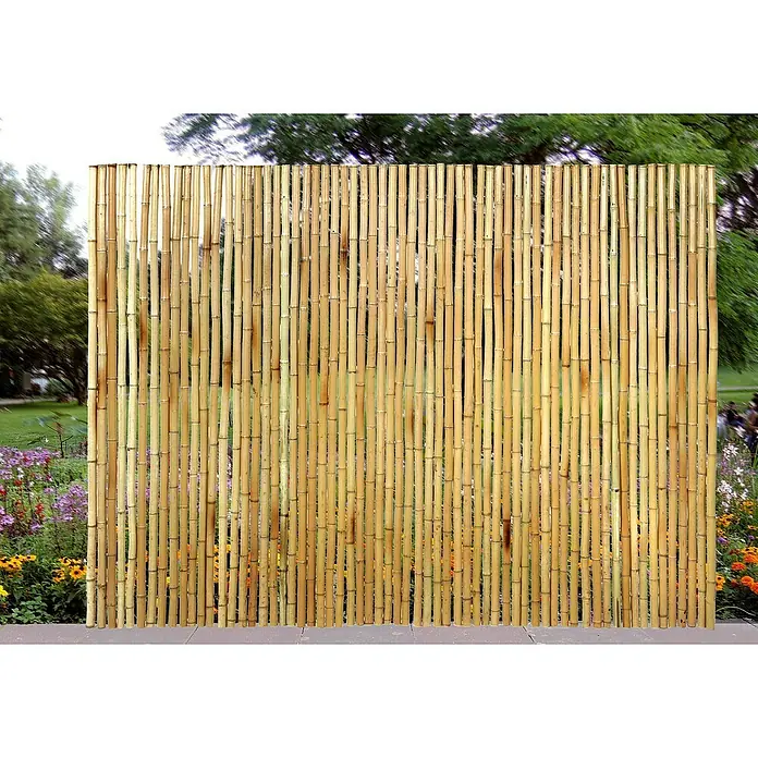 Gardol Sichtschutzmatte - 3 x 1,8 m, Bambus, Natur - Nahaufnahme eines Sichtschutzzauns aus Bambusrohren im Freien, ideal als natürliche Gartenbegrenzung.