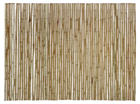 Gardol Sichtschutzmatte - 3 x 1,8 m, Bambus, Natur online kaufen bei BAUHAUS