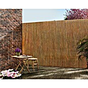 Gardol Schilfrohrmatte (3 x 1,5 m, Weide, Natur) | BAUHAUS