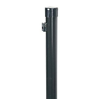Floraworld Zaunpfosten (Länge: 175 cm, Durchmesser: 34 mm, Anthrazit, Stahl)