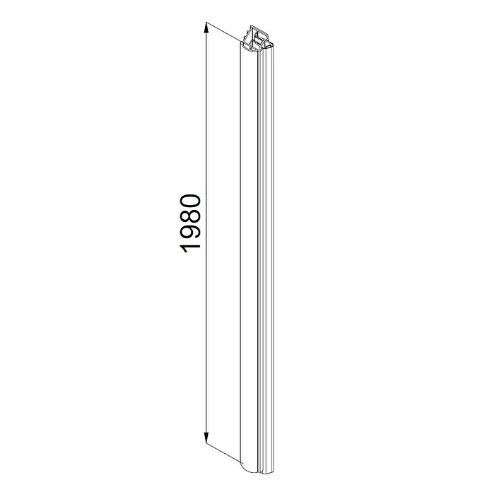 Camargue Level 5 Dusch-Türanschlag (Höhe: 198 cm, Silber) | BAUHAUS