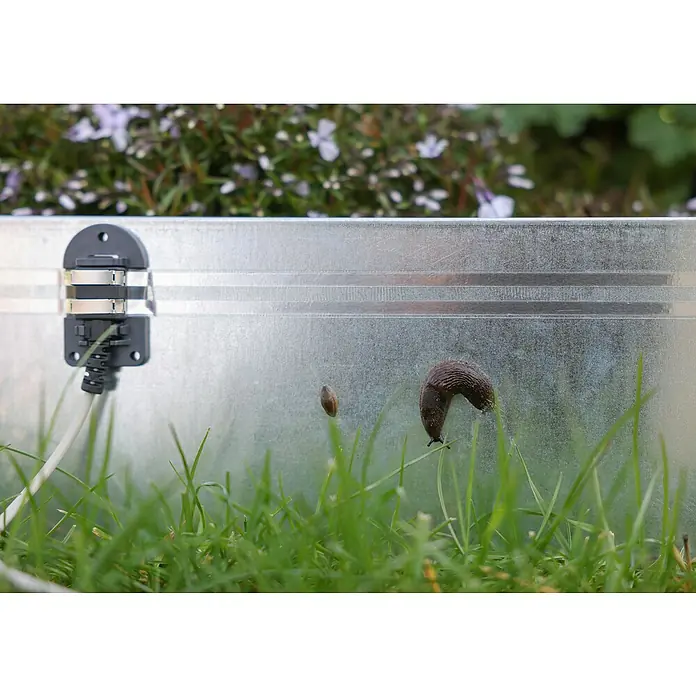 Kerbl Schneckenzaun Snail Stop - Länge: 10 m - Nahaufnahme einer Metalleinfassung im Garten, mit Fokus auf einem darauf kriechenden Slug und grünen Pflanzen im Vordergrund.