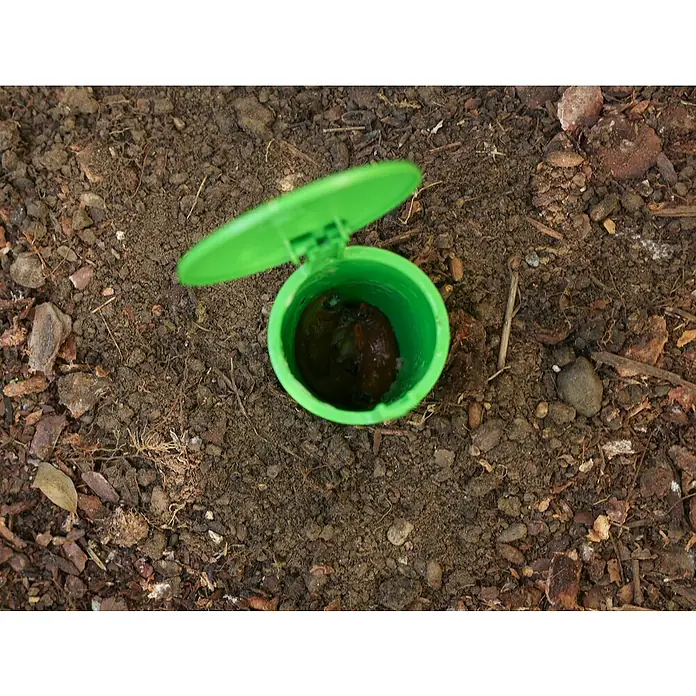 Kerbl Schneckenfalle Snail Bowl - L x B x H: 15,5 x 9 x 8,5 cm - Ein grüner Köderbehälter mit einem braunen Köder darin, der auf dem Boden platziert ist, um Schädlinge zu bekämpfen.