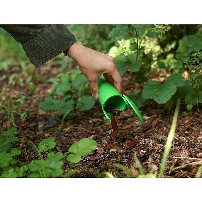 Kerbl Schneckenfalle Snail Bowl - L x B x H: 15,5 x 9 x 8,5 cm - Die Hände einer Person leeren eine grüne Schneckenfalle auf einen Garten voller Pflanzen und Blumenerde.