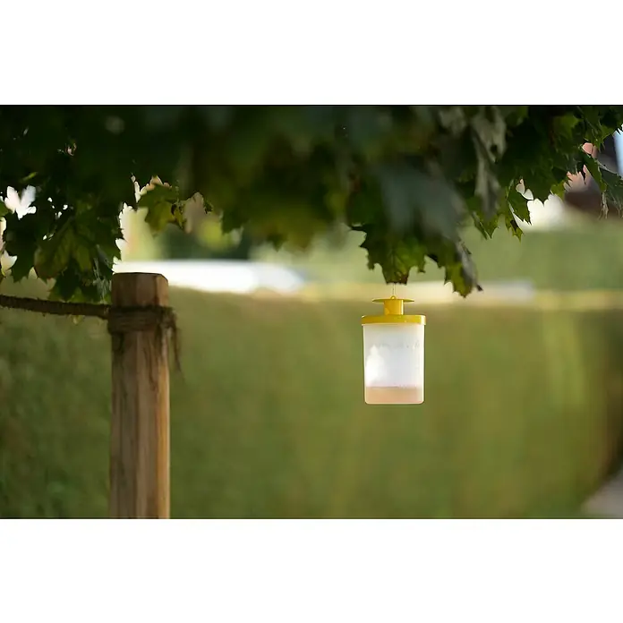 Kerbl Fliegenfalle FlyCage 3 - L x B x H: 15 x 10,5 x 10,5 cm - Nahaufnahme einer hängenden gelb-weißen Insektenfalle mit etwas Flüssigkeit am Boden, inmitten von Grün.