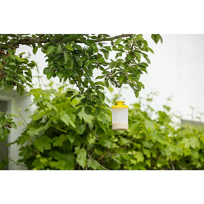 Kerbl Fliegenfalle FlyCage 3 - L x B x H: 15 x 10,5 x 10,5 cm - Insektenfalle mit gelbem Deckel und durchsichtigem Behälter hängt an einem Baum, um Schädlinge zu fangen und Pflanzen zu schützen.