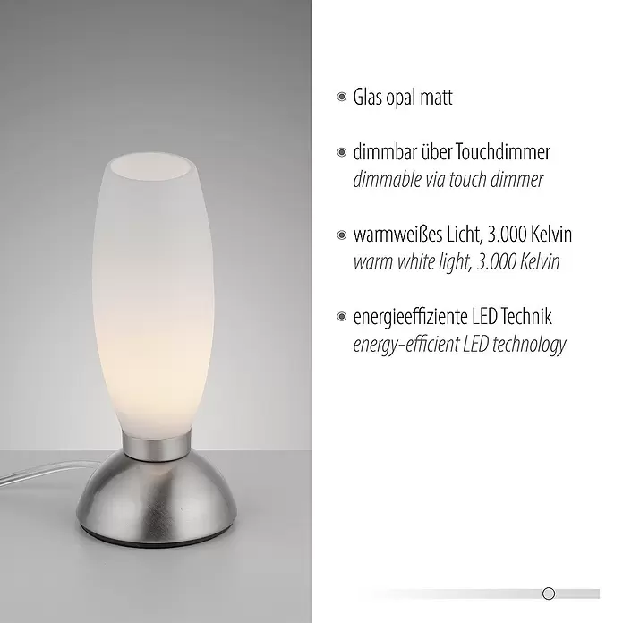 Paul Neuhaus LED-Tischleuchte Joy - L x B x H: 8,5 x 8,5 x 20 cm, Stahl, Warmweiß - Tischleuchte mit mattem Opalglasschirm und gebürstetem Metallsockel, mit dimmbarem, warmweißem LED-Licht.