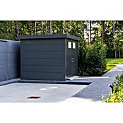 Telluria Caseta metálica Classico 3030 (Medidas ext. (An x Pr): 318 x 318 cm, Acero, Antracita, Sin set) | BAUHAUS