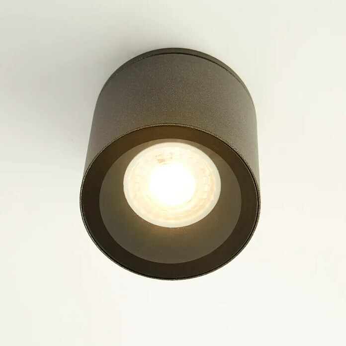 Searchlight Led-buitenlamp (Kleur behuizing: Zwart, IP65) | BAUHAUS