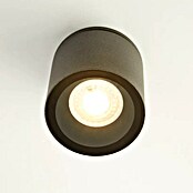 Searchlight Led-buitenlamp (Kleur behuizing: Zwart, IP65) | BAUHAUS