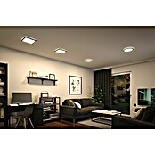 Paulmann LED-Panel Atria Shine (Durchmesser: 29,3 cm, 19 W, Schwarz, Neutralweiß) | BAUHAUS