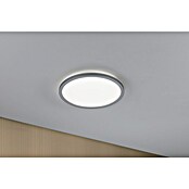 Paulmann LED-Panel Atria Shine (Durchmesser: 29,3 cm, 19 W, Chrom, Neutralweiß) | BAUHAUS