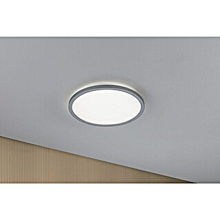 Paulmann LED-Panel Atria Shine (Durchmesser: 29,3 cm, 19 W, Chrom, Neutralweiß)