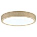 Paulmann Panel LED redondo Cosara 
