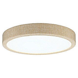 Paulmann Panel LED redondo Cosara (15 W, Ø x Al: 30 x 6,2 cm, Beige, Blanco neutro)