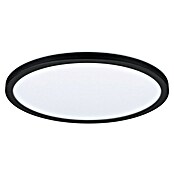 Paulmann LED-Panel Atria Shine (Durchmesser: 29,3 cm, 19 W, Schwarz, Neutralweiß) | BAUHAUS