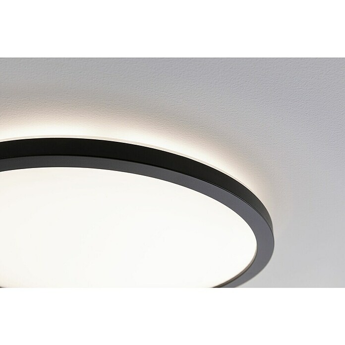 Paulmann LED-Panel Atria Shine (Durchmesser: 29,3 cm, 19 W, Schwarz, Warmweiß) | BAUHAUS