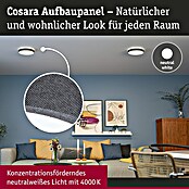 Paulmann LED-Panel rund Cosara (15 W, Ø x H: 30 x 6,2 cm, Dungelgrau, Neutralweiß) | BAUHAUS