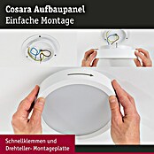 Paulmann LED-Panel rund Cosara (15 W, Ø x H: 30 x 6,2 cm, Beige, Warmweiß) | BAUHAUS