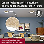 Paulmann LED-Panel rund Cosara (15 W, Ø x H: 30 x 6,2 cm, Beige, Neutralweiß) | BAUHAUS