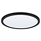 Paulmann LED-Panel Atria Shine (Durchmesser: 29,3 cm, 19 W, Schwarz, Warmweiß) | BAUHAUS