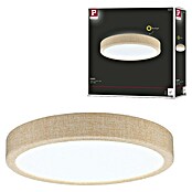 Paulmann LED-Panel rund Cosara (15 W, Ø x H: 30 x 6,2 cm, Beige, Neutralweiß) | BAUHAUS