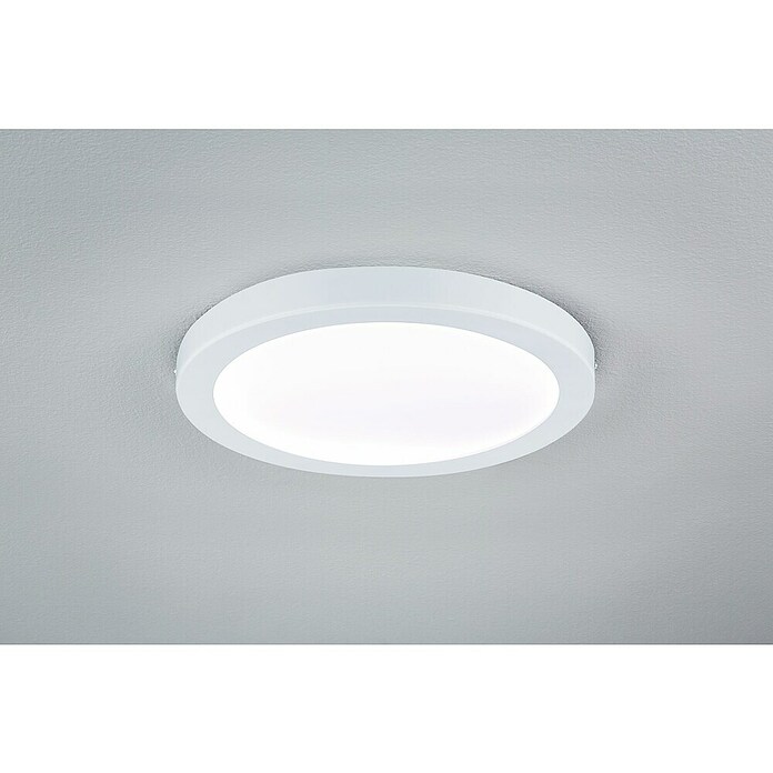 Paulmann LED-Panel Abia (24 W, Weiß, Neutralweiß) | BAUHAUS