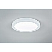 Paulmann LED-Panel Abia (24 W, Weiß, Neutralweiß) | BAUHAUS