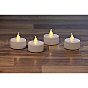 Vela de té LED Nele (24 uds.)