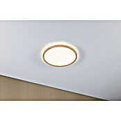 Paulmann LED-Panel Atria Shine IP44 (Durchmesser: 29,3 cm, 19 W, Holz, Warmweiß) | BAUHAUS