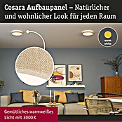 Paulmann LED-Panel rund Cosara (15 W, Ø x H: 30 x 6,2 cm, Beige, Warmweiß) | BAUHAUS