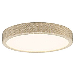 Paulmann Panel LED redondo Cosara (15 W, Ø x Al: 30 x 6,2 cm, Beige, Blanco cálido)
