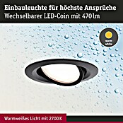 Paulmann Nova LED-Einbauleuchte rund (6 W, Schwarz, Warmweiß, 1 Stk.) | BAUHAUS