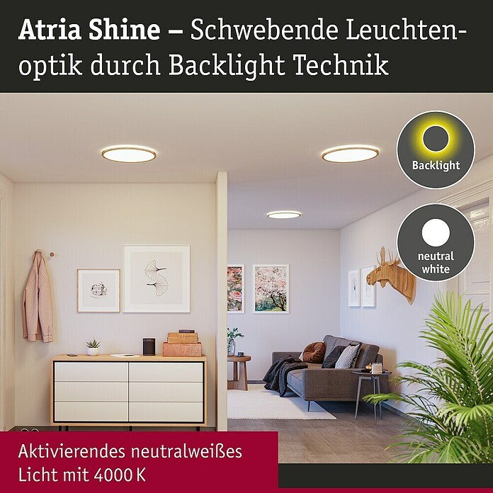 Paulmann LED-Panel Atria Shine IP44 (Durchmesser: 29,3 cm, 19 W, Holz, Neutralweiß) | BAUHAUS