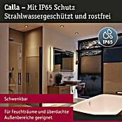 Paulmann LED-Einbauleuchten-Set rund Calla (6 W, Schwarz, 10 Stk., Neutralweiß) | BAUHAUS