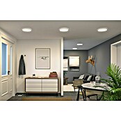 Paulmann LED-Panel Atria Shine IP44 (Durchmesser: 29,3 cm, 19 W, Weiß, Warmweiß) | BAUHAUS