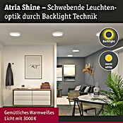 Paulmann LED-Panel Atria Shine IP44 (Durchmesser: 29,3 cm, 19 W, Weiß, Warmweiß) | BAUHAUS