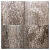 Betontegel Premium Bruin Nuance (Beton, 60 x 60 x 4 cm, Bruin) | BAUHAUS