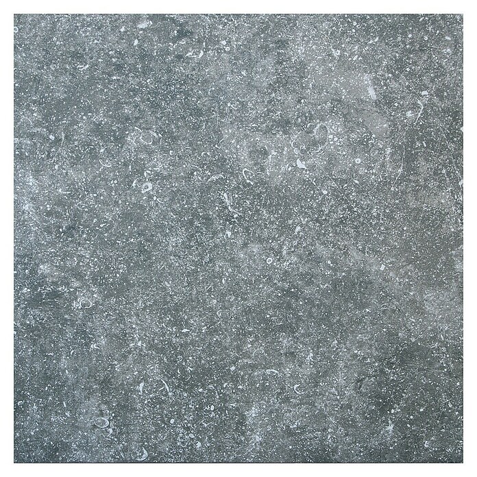 Keramische tegel Marmer (60 x 60 cm, Grijs) | BAUHAUS