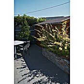 Betontegel Basic Zwart (Beton, 30 x 20 x 5 cm, Zwart) | BAUHAUS